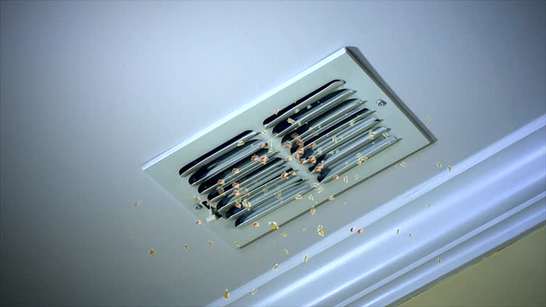 Best Emergency Air Duct Cleaning  in Lofall, WA